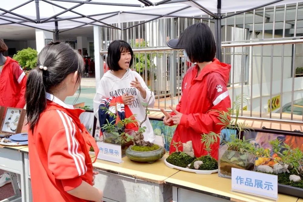 云南省昆明市盲哑学校图片