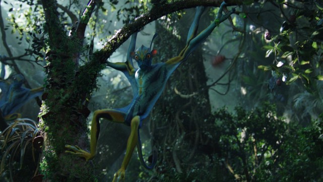 这种薄膜能帮助蝠猴在空中滑行,避免跌落,是一种天然的降落伞.