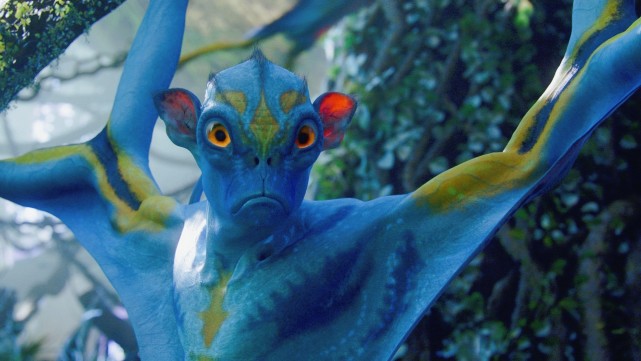 危险程度:无天敌:斑溪兽,毒狼类型:初级生物位置:潘多拉星蝠猴科学家