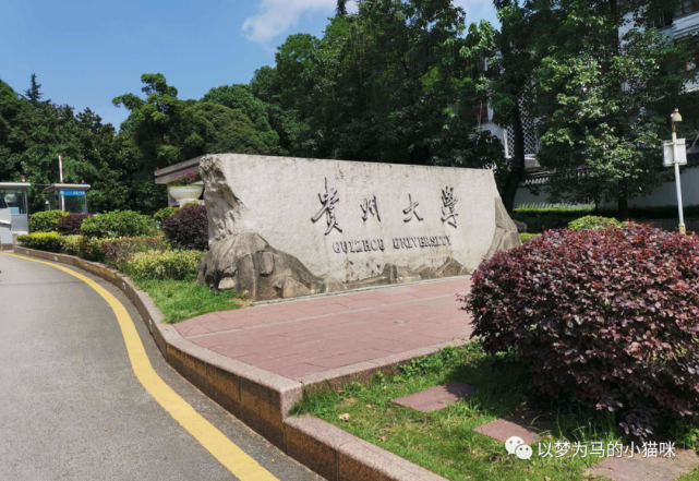贵州省内大学图片