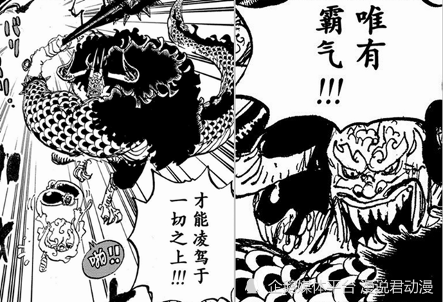 One Piece The Two Strong Men Make Kaido Understand That Domineering Overrides Fruit Ability Laitimes