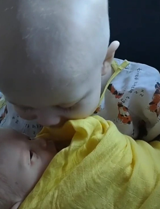 下12个孩子,称不会再生了|美国_社会|英国_社会|莫迪|维罗妮卡-梅里特