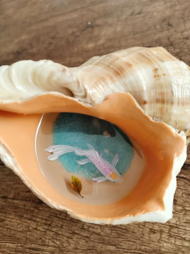 绝了温州女子贝壳里画鱼骗过百万网友