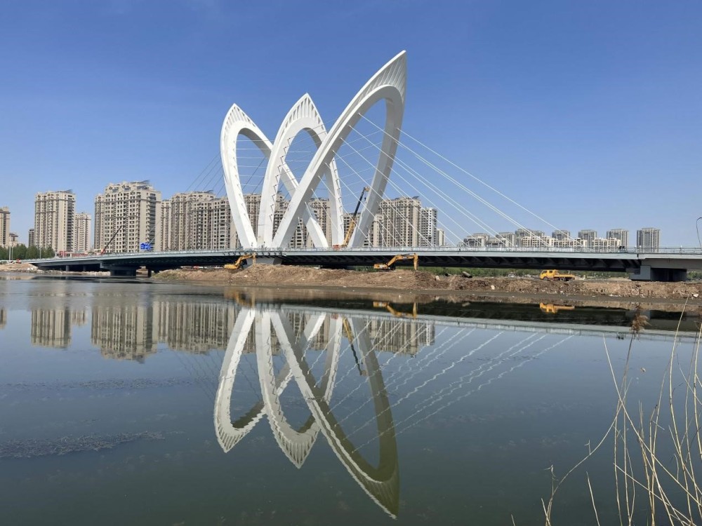 国内首座碳纤维斜拉索车行桥聊城兴华路跨徒骇河大桥通车