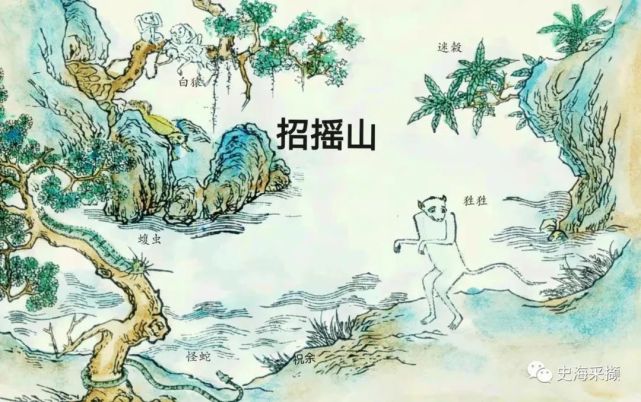 《山海经》招摇山中其他物种"佩之不迷"的"迷穀"食之不饥"的"祝余"