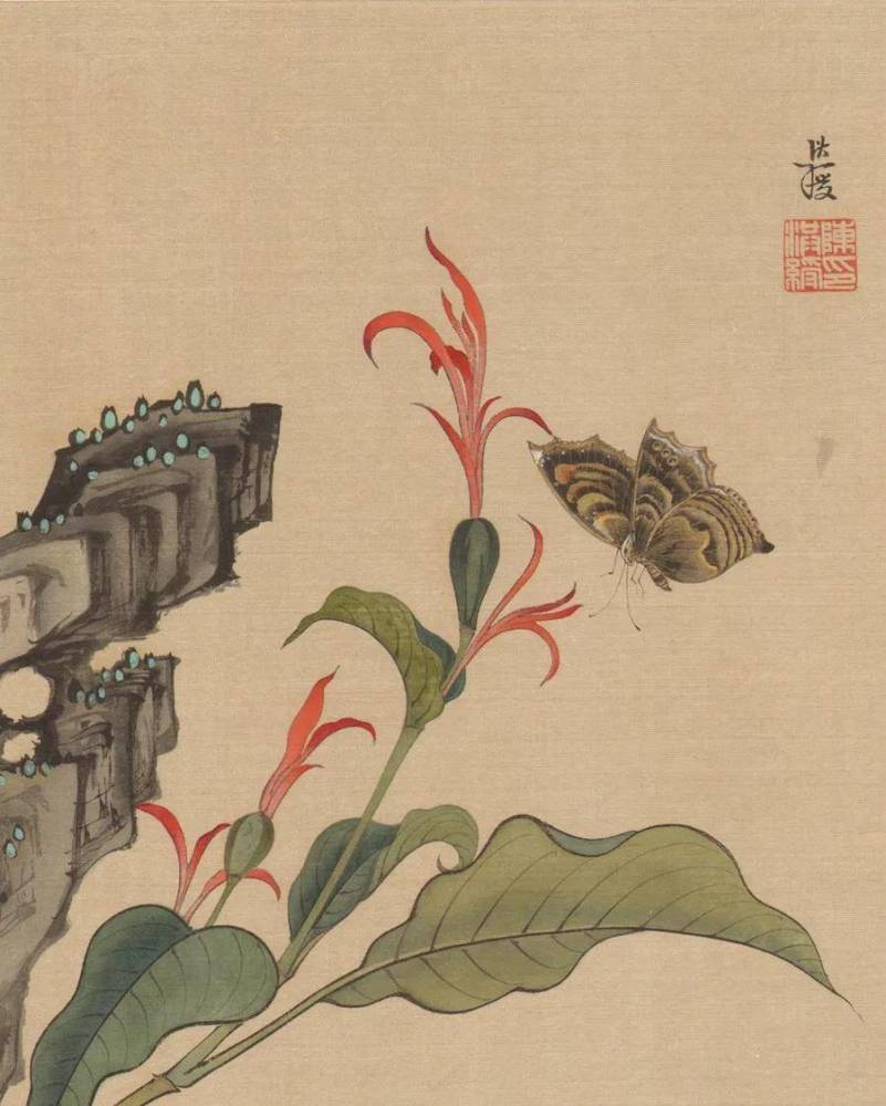 鉴赏|陈老莲《花鸟草虫册》_腾讯新闻