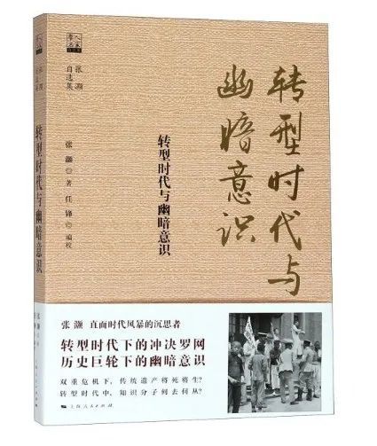 大转型的光与影之子追思张灏先生