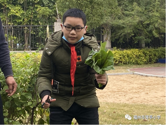 以劳动之名,"章"显新风采——福州市琴亭小学少先队开展红领巾奖章"