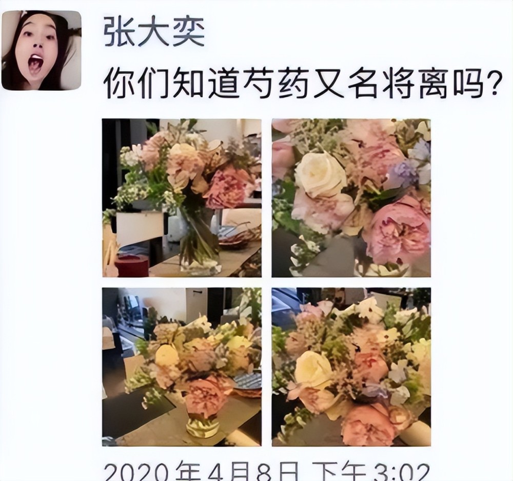 蔣凡張大奕被爆結婚天貓總裁拋妻棄子迎娶第三者網友原配好慘