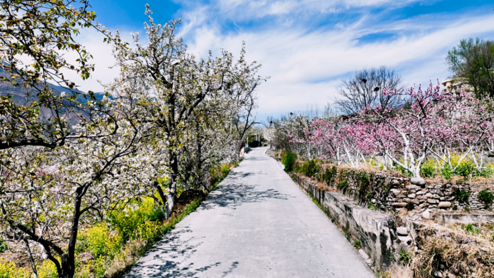 致富路,金川县因地制宜,就地取材,2013年,顺利建成了松坪村对外的通道