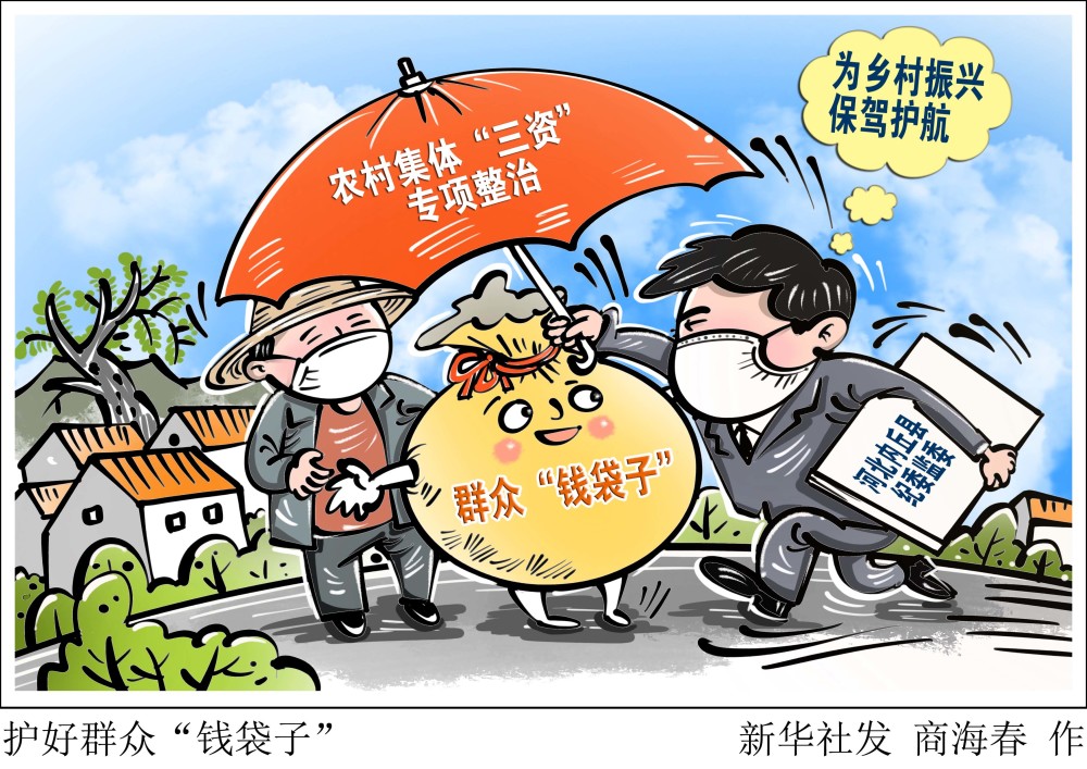 图表漫画乡村振兴护好群众钱袋子