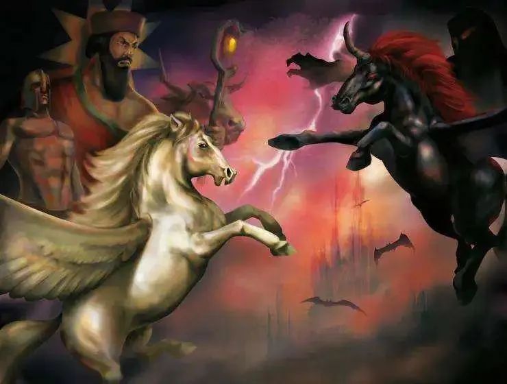 什么是金轮：大司马原名的谐音（网络流行梗）