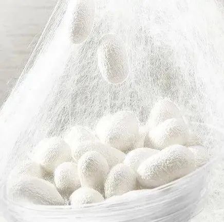 科普|桑蚕丝的种类和用途,你知道多少?