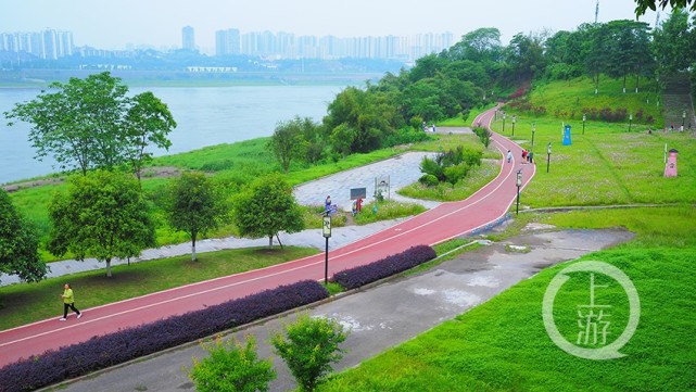 《美丽的巴滨路》组照九 万淑兰 摄于巴滨路湿地公园一,征稿主题上游