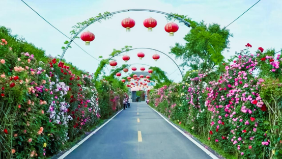 走迷宫花海,看孔雀,采樱桃……小众又趣味赶紧get!