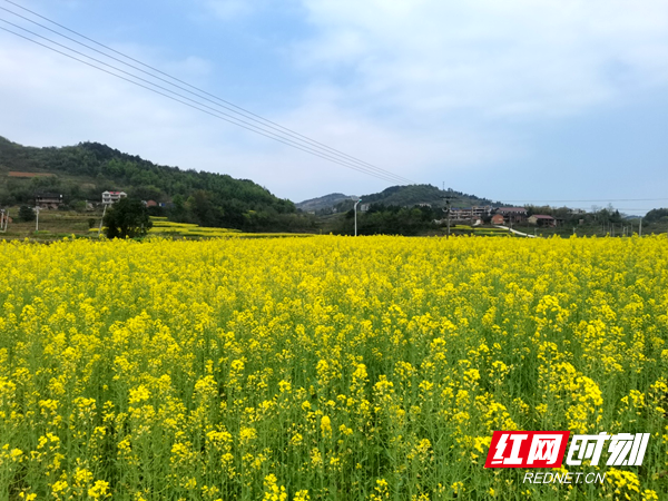 邵东市杨桥镇:"农文旅"融合 助力乡村振兴