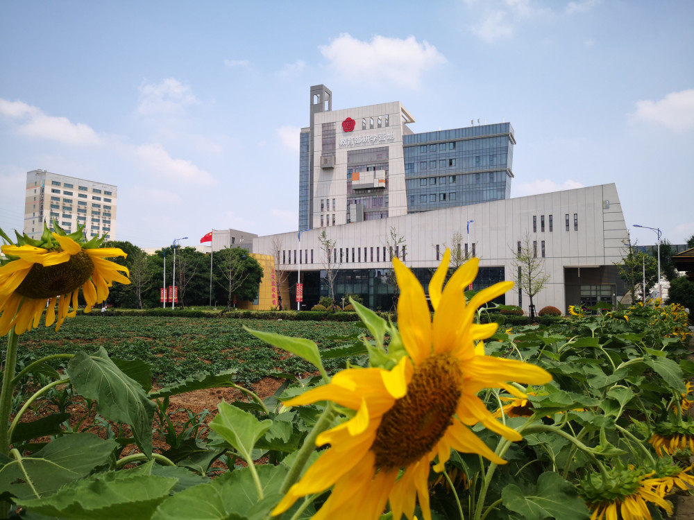 从五里小学到行知教育集团(以下简称"行知学校"),这所学校用四十余年
