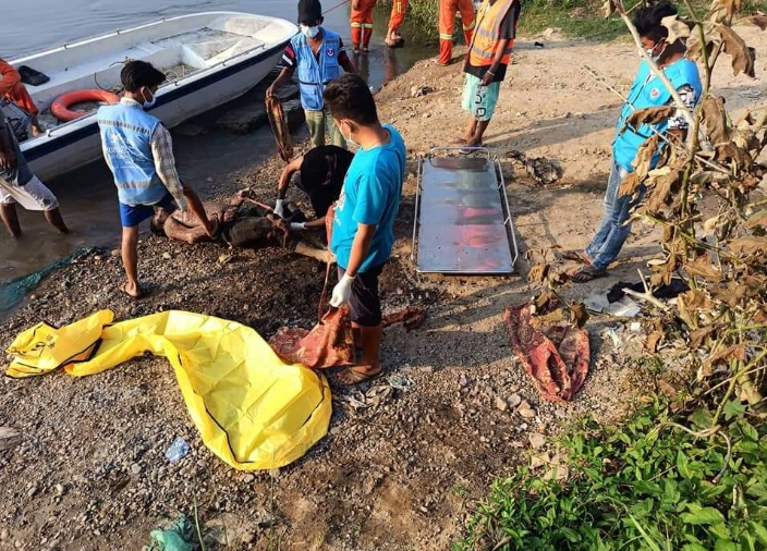 3个月内，缅北发现30多具遗体，大部分是被枪杀的外贸培训班能不能学到
