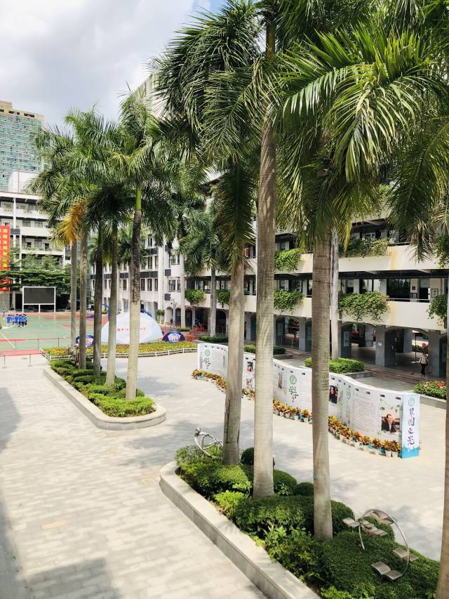 除了引入深圳中学优秀教育人才,正高级教师郭玉竹任翠园文锦中学校长