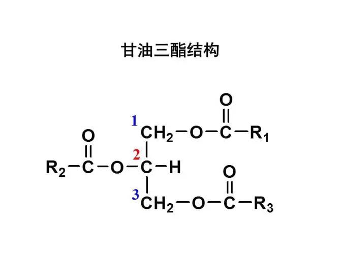 畢秀話健康|低碳飲食在阿爾茲海默病防治中的作用_騰訊新聞