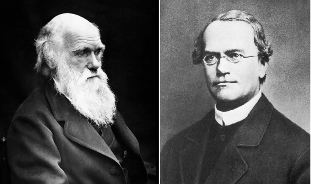 29知识分子the intellectual如果要细数生命科学领域里的 "殿堂级人物