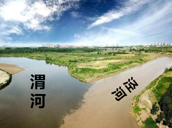 泾渭分明的高低能磁激发