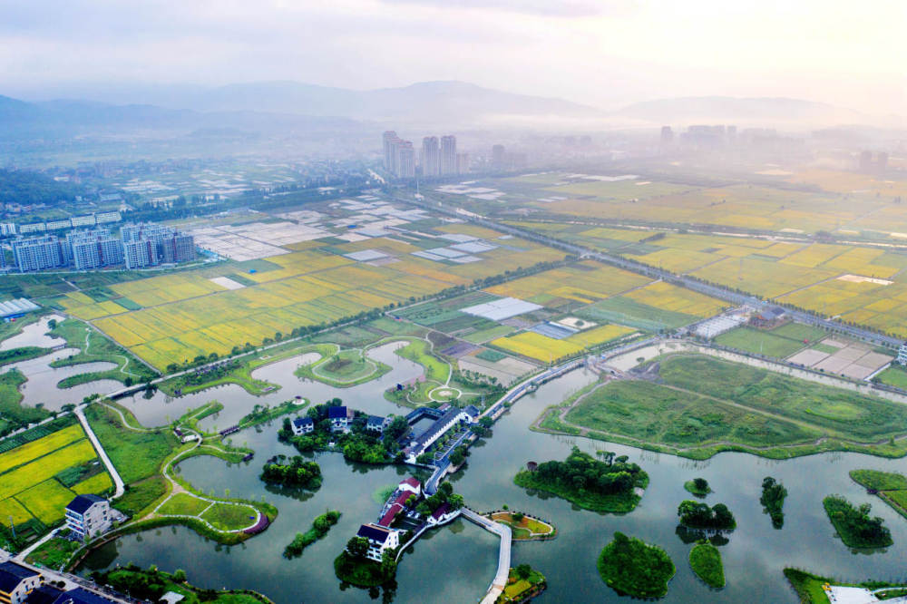 温州瑞安市马屿镇入选2022年农业产业强镇创建名单