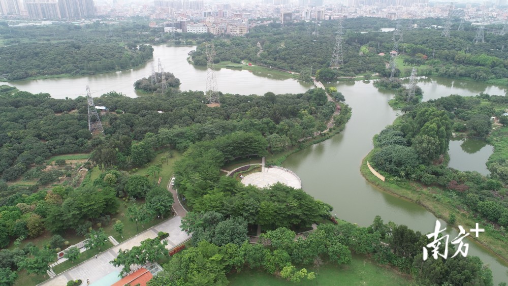 大朗畅游指南荔香湿地公园都市绿岛自然风光附视频