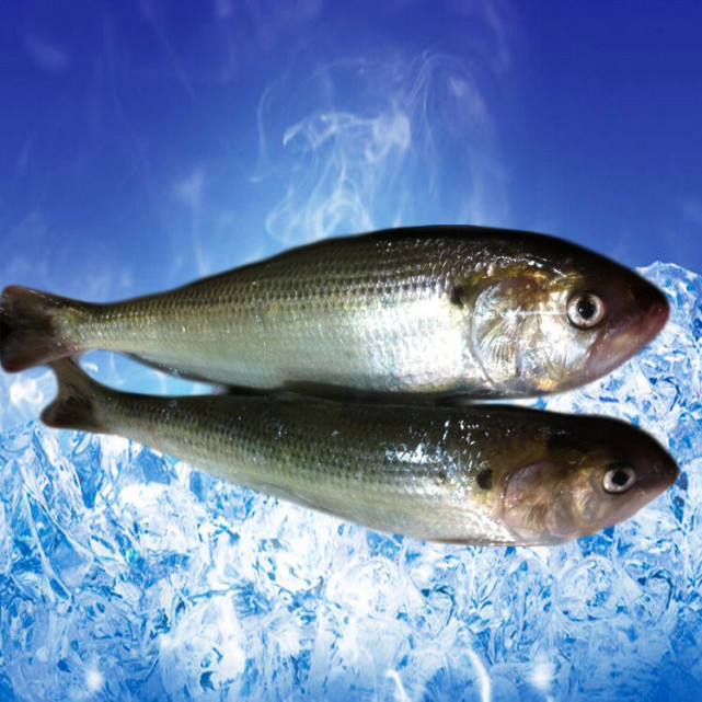 禁渔十年,"长江三鲜"能回来吗?