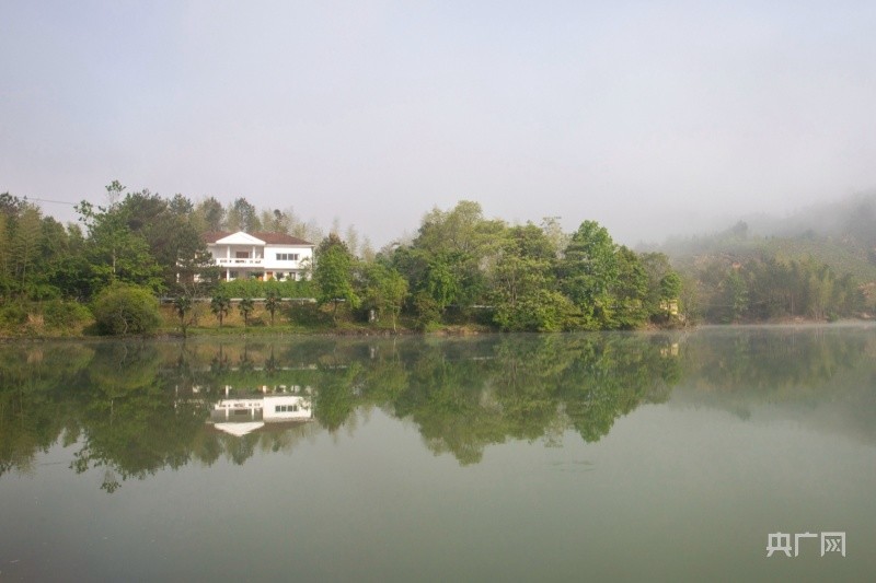 鄉約福建光澤饒坪山明水翠又一村