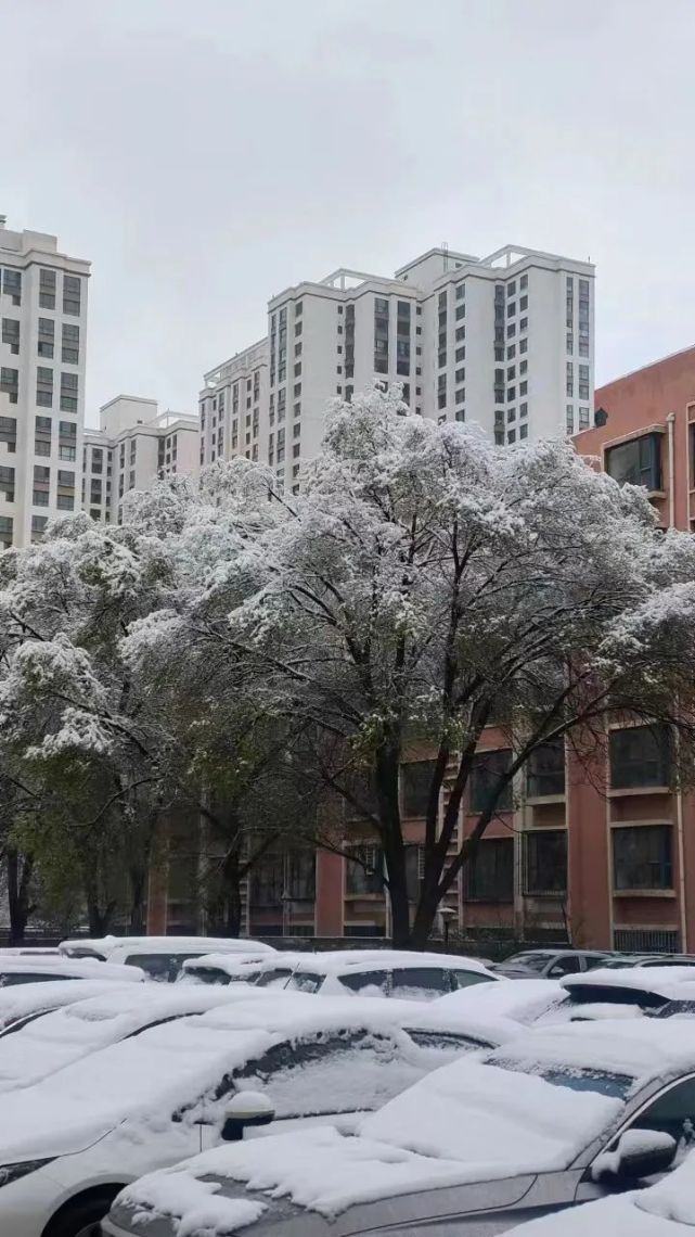 西宁雪景图片