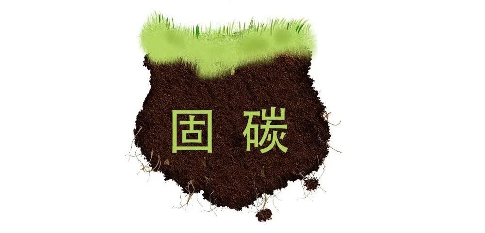 森林明明是碳汇种树为啥成碳排放ipcc第六次评估第ii工作组报告解读14