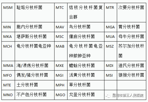 关于结核分枝杆菌菌种基因鉴定及耐药检测,你了解多少?