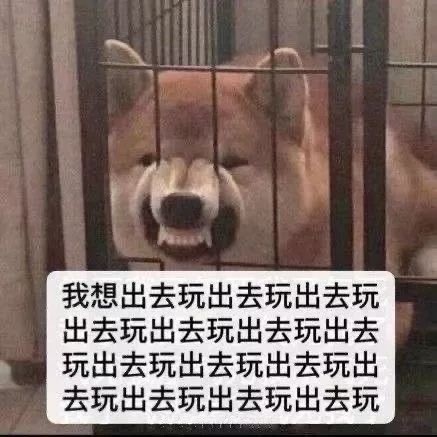 表情包好想出去玩啊