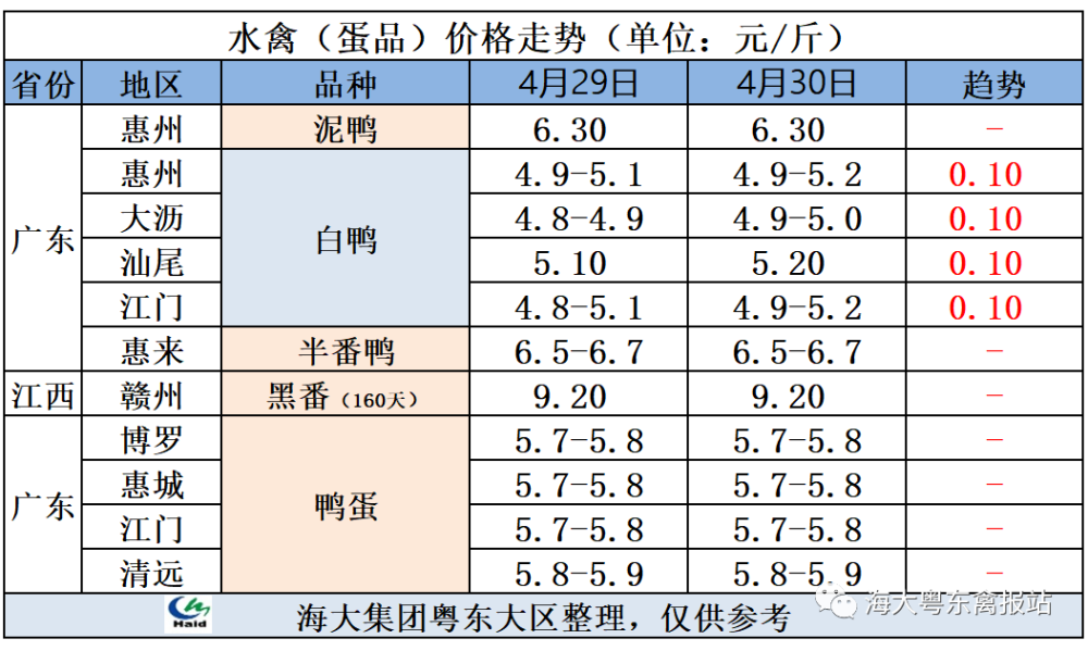 元/斤商品鹅蛋商品鹅蛋价格黑狮大鹅黑狮鹅苗狮头大鹅狮头鹅苗狮头苗