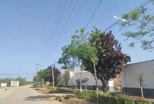 洛川县石头镇百马庄村村容大变样群众干劲足