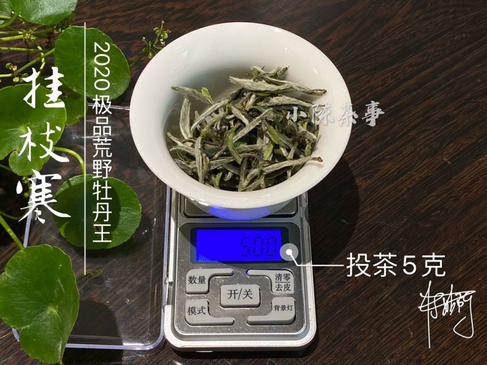 五一假期宅家喝茶有哪些不得不注意的地方這4點務必避開