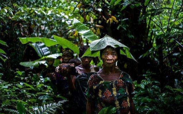 另一種方法是通過陽光攝入鈣,但俾格米人在熱帶雨林地區的食物不夠