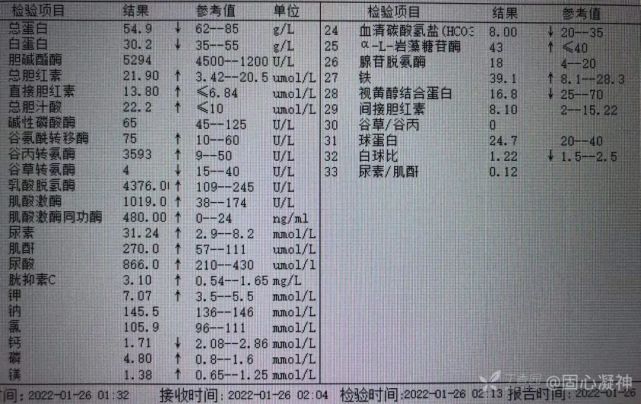 降鈣素原 2.5 ng/ml,n 端 bnp 2211 ng/l,澱粉酶 666.