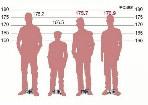Must Means The Layout 167cm 平均体重男 Speedwork Jp