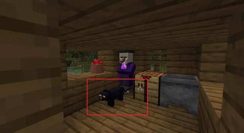 在我的世界中如果快速找到 貓 并馴服它 天天看點