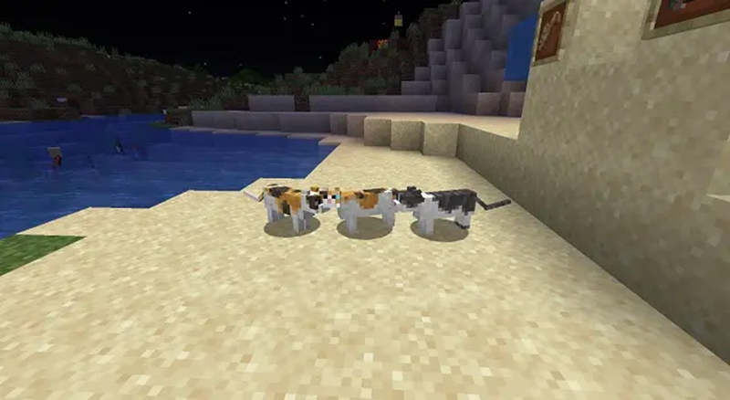 在我的世界中如果快速找到 貓 并馴服它 天天看點