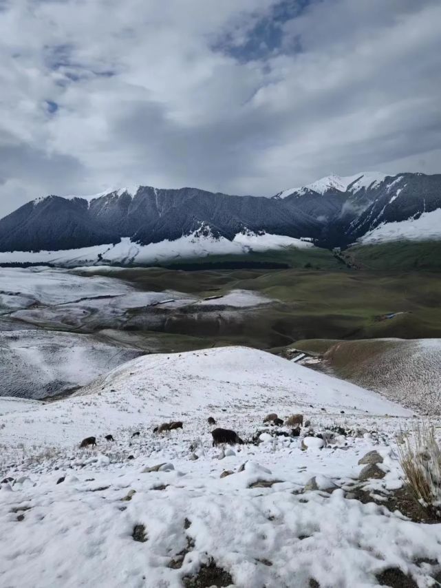 特克斯瓊庫什臺四月雪後美景宛如幻境