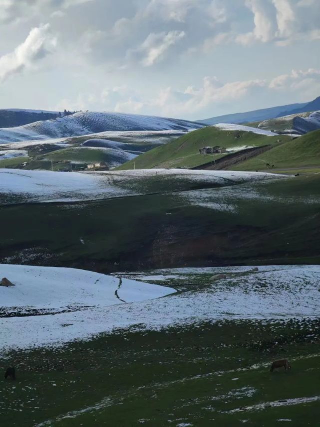 特克斯瓊庫什臺四月雪後美景宛如幻境