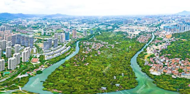 莆田"水上巴士"涵江段加快推进!预计今年