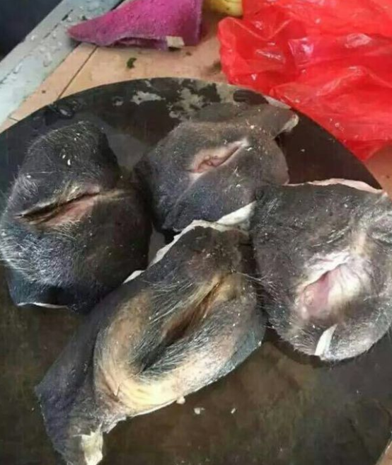 在河北吃过驴碗口余生从此不颤抖