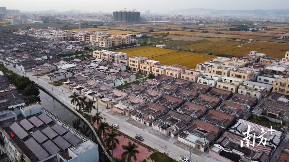 稳字当头看汕农丨汕头农业农村围绕12345工作思路推动三农工作取得新