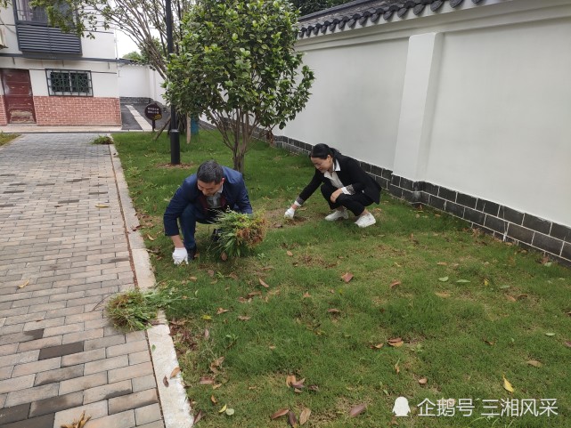 义务植树,纪念红军长征精神和建党一百周年纪念等有积极意义的活动