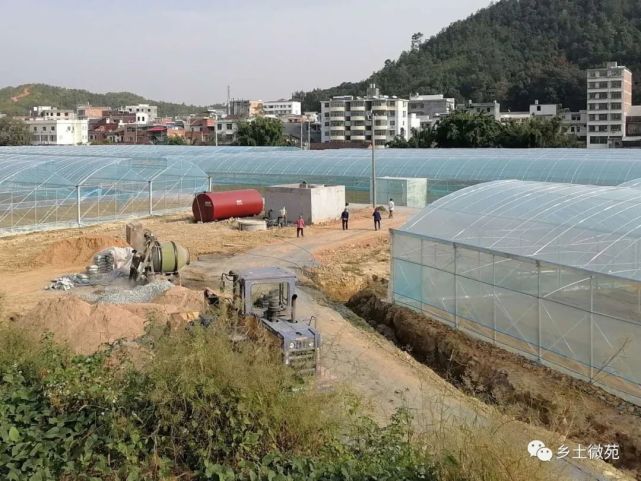 【乡音快递】:赣县区石芫乡:优化营商环境,助力乡村振兴