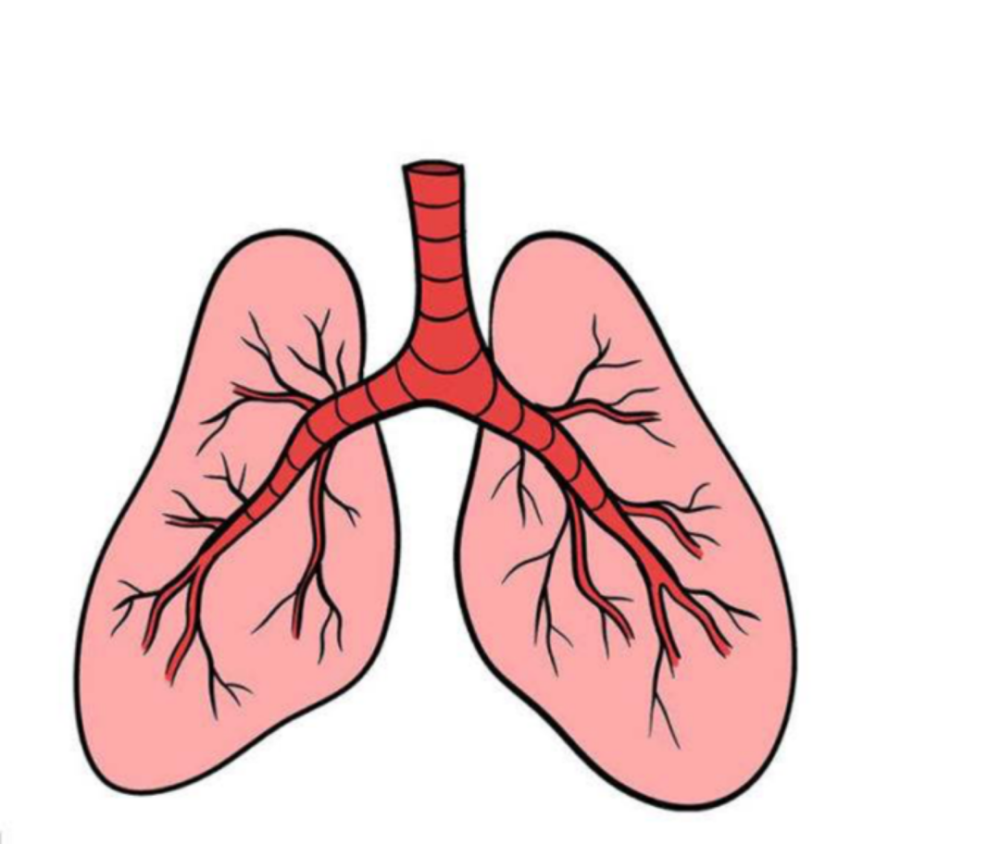 为何无症状肺癌越来越常见这三点诱因是关键吸烟者如果咳嗽出现这三点